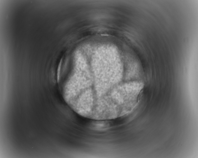 X0000088440187200706121515