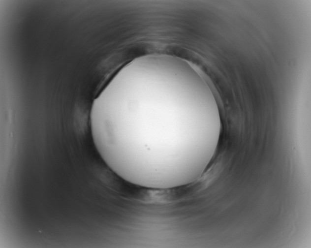 X0000088440188200706121515