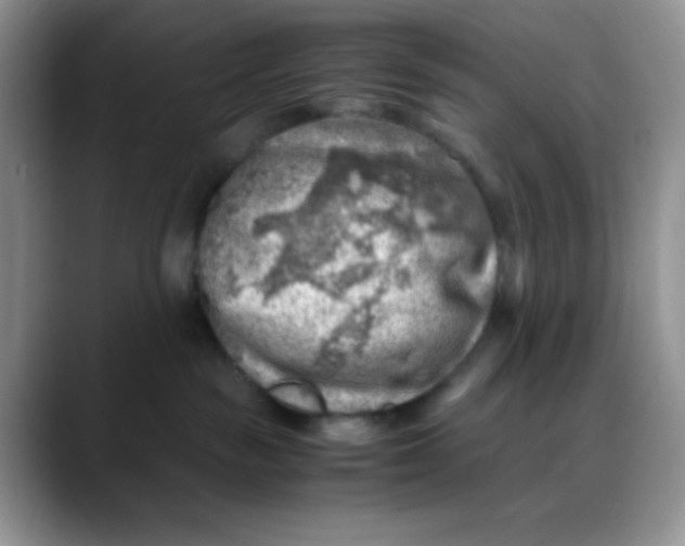 X0000088440189200706121515