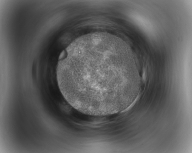 X0000088440191200706121515