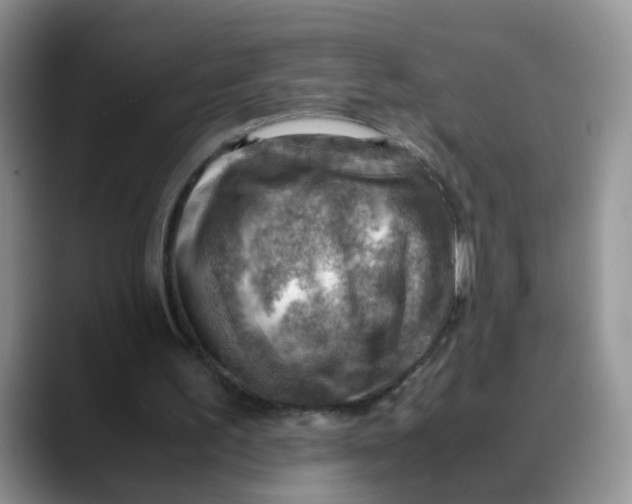 X0000088440195200706121515