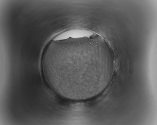 X0000088440196200706121515