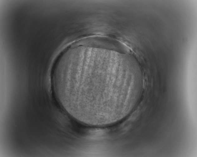 X0000088440198200706121515