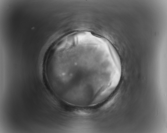 X0000088440199200706121515