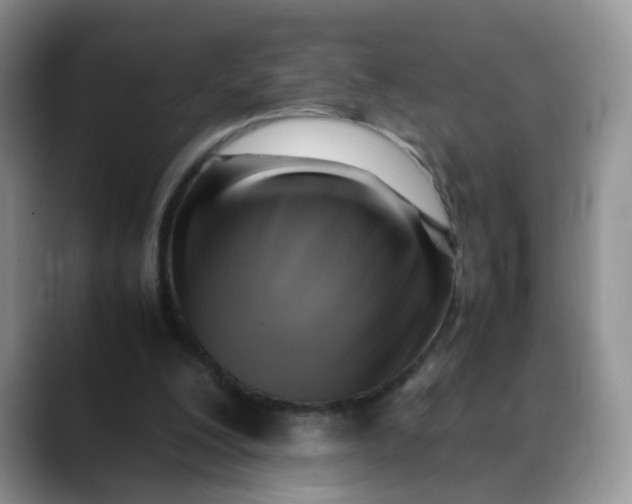 X0000088440200200706121515