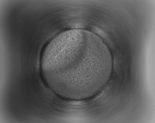X0000088440202200706121515
