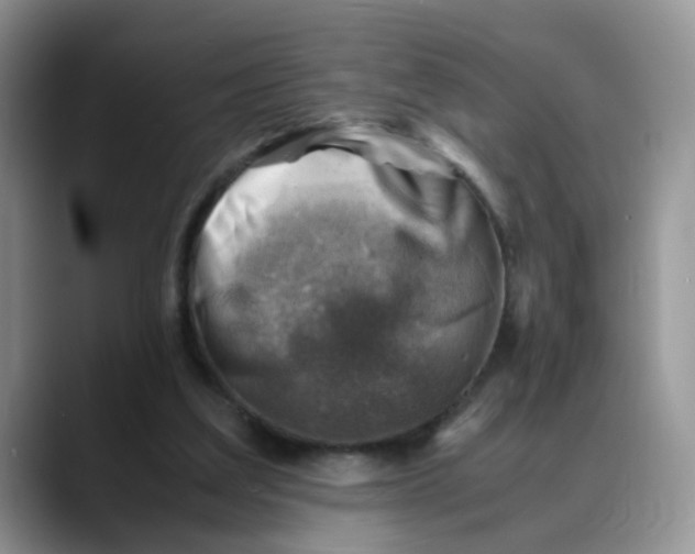 X0000088440203200706121515