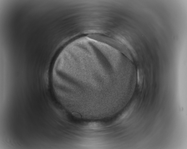 X0000088440204200706121515