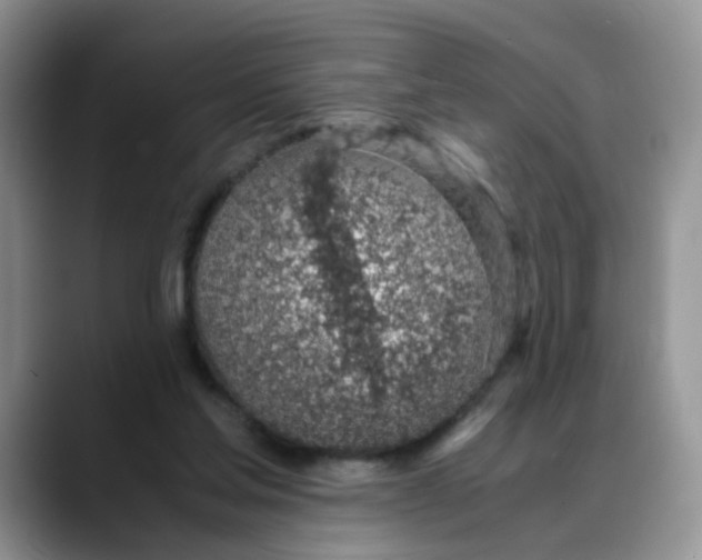 X0000088440205200706121515