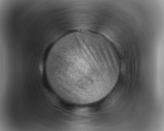 X0000088440206200706121515