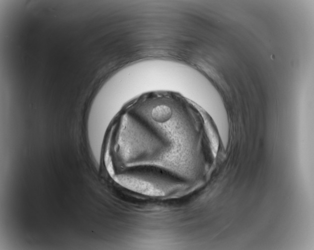 X0000088440207200706121515