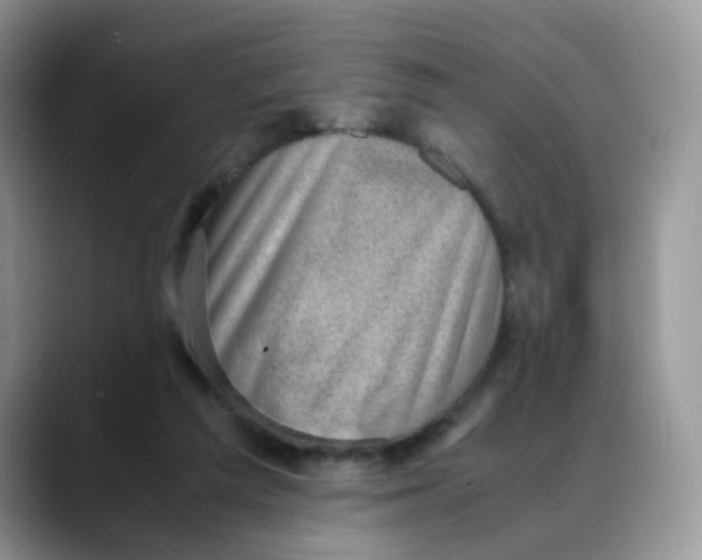 X0000088440209200706121515