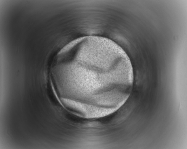 X0000088440210200706121515