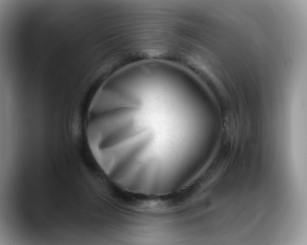 X0000088440212200706121515
