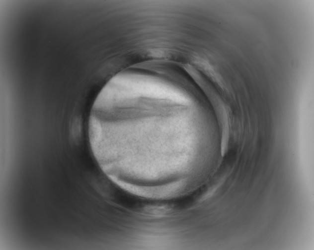 X0000088440213200706121515