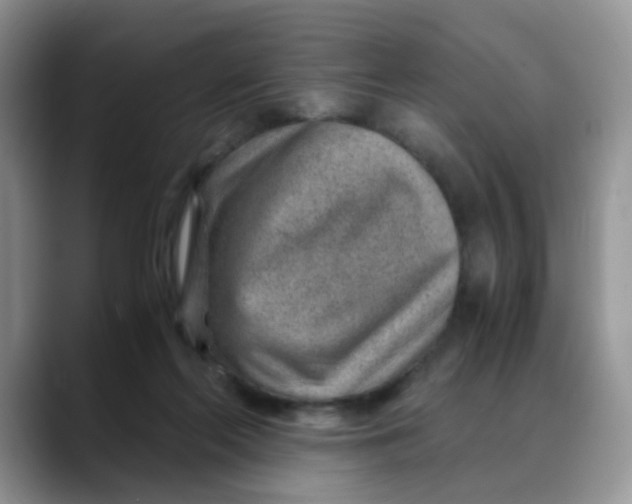X0000088440214200706121514
