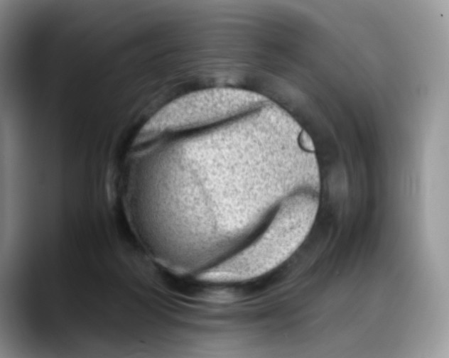 X0000088440218200706121514