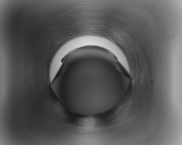X0000088440219200706121514
