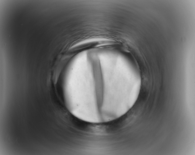 X0000088440221200706121514