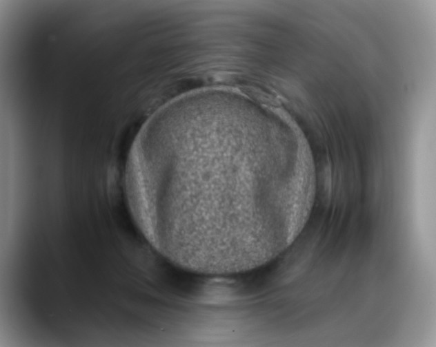 X0000088440222200706121514