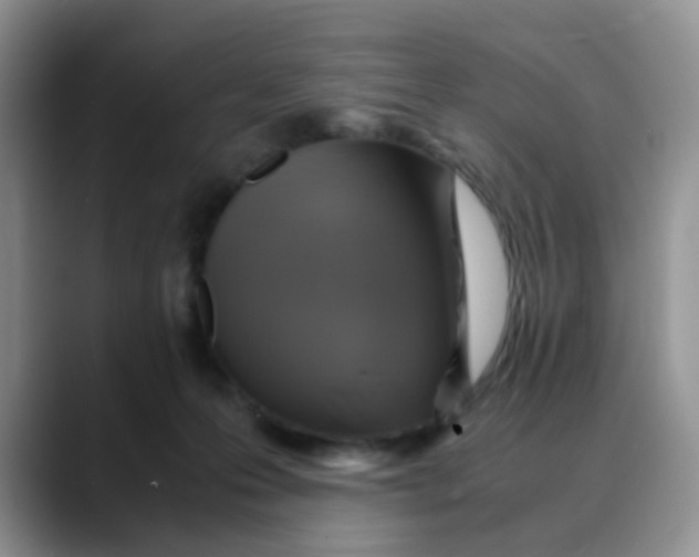 X0000088440223200706121514