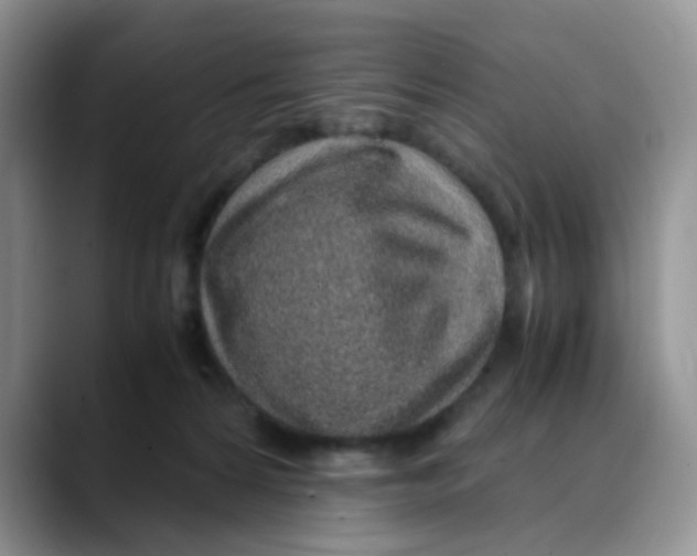X0000088440224200706121514
