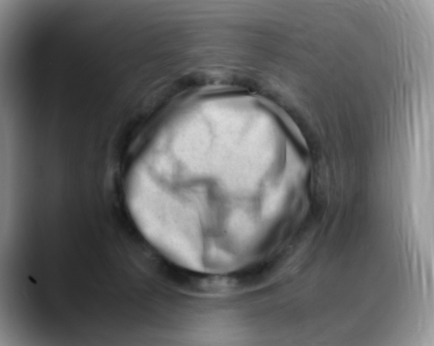X0000088440225200706121514