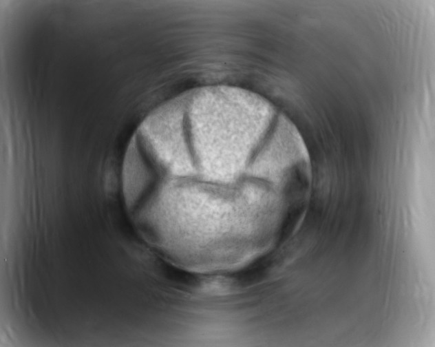 X0000088440226200706121514