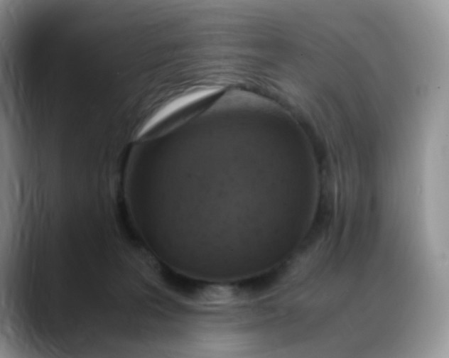 X0000088440227200706121514