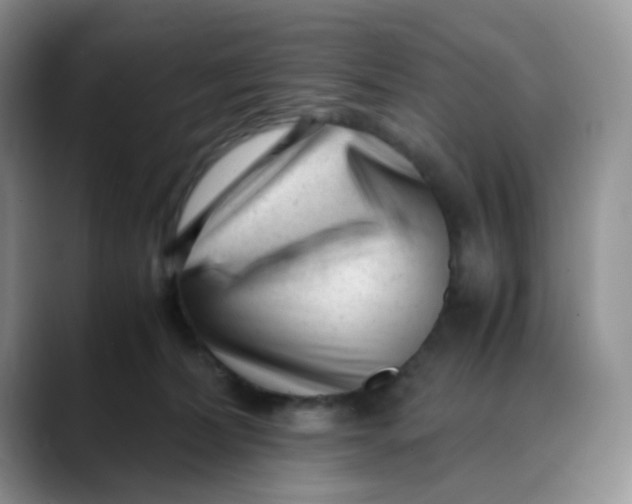 X0000088440228200706121514