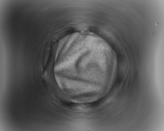 X0000088440229200706121514