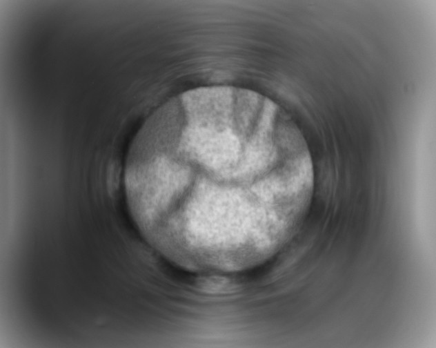X0000088440230200706121514