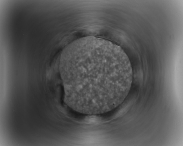 X0000088440231200706121514