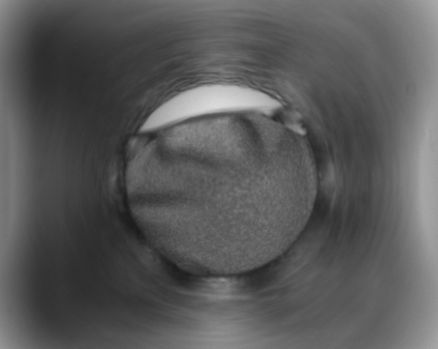 X0000088440233200706121514