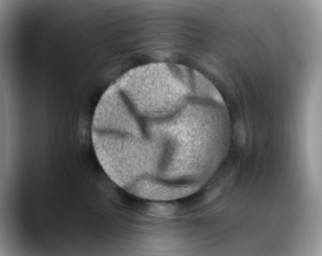 X0000088440234200706121514