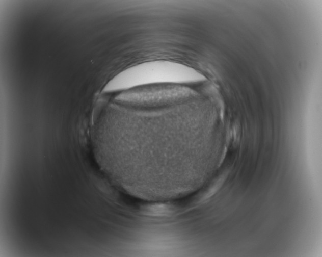 X0000088440237200706121514