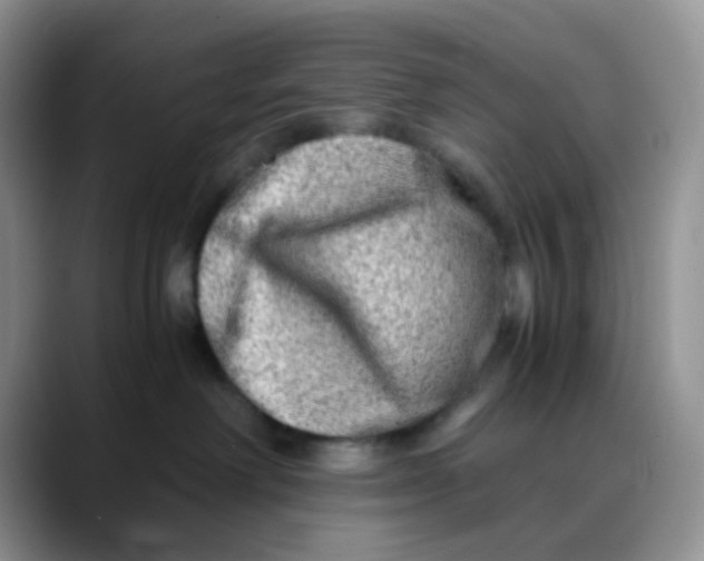 X0000088440238200706121514