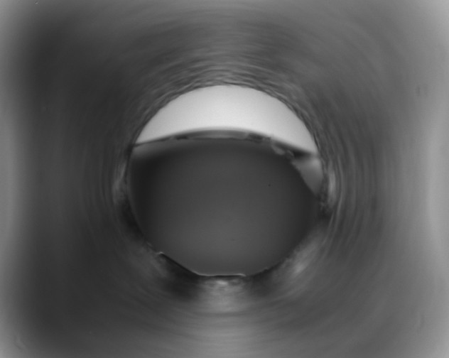 X0000088440239200706121514