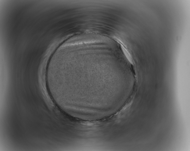 X0000088440241200706121514