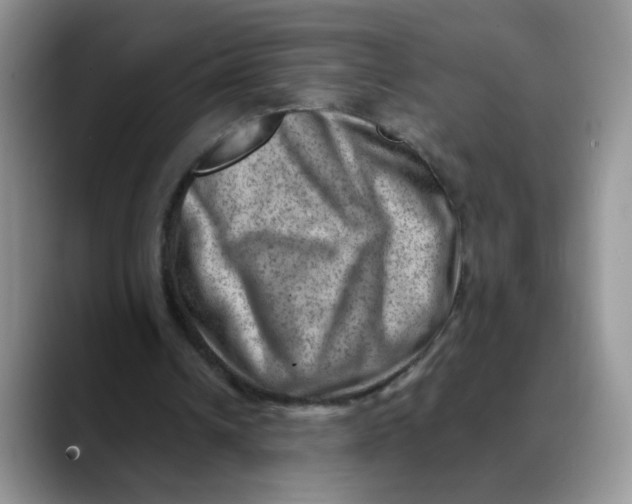 X0000088440242200706121514