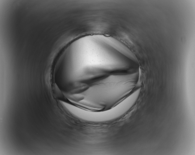 X0000088440244200706121514