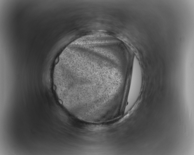 X0000088440245200706121514