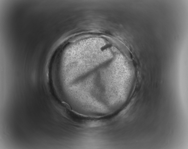 X0000088440246200706121514