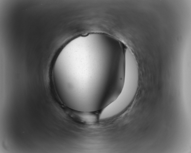 X0000088440248200706121514