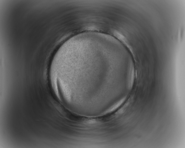 X0000088440249200706121514