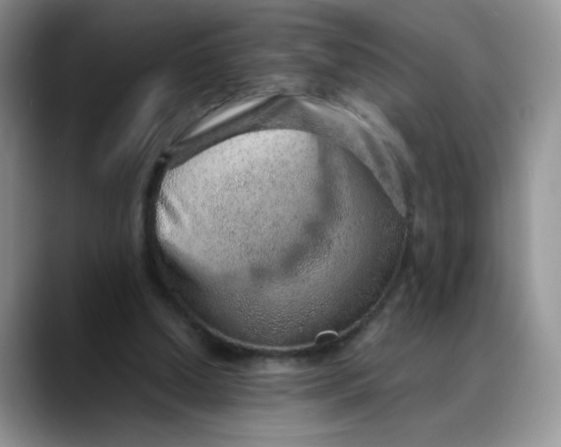 X0000088440250200706121514