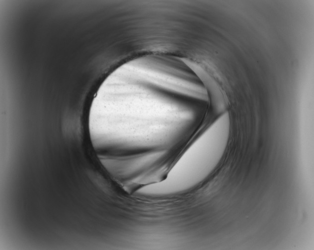 X0000088440252200706121514