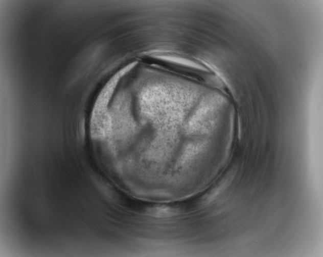 X0000088440253200706121514