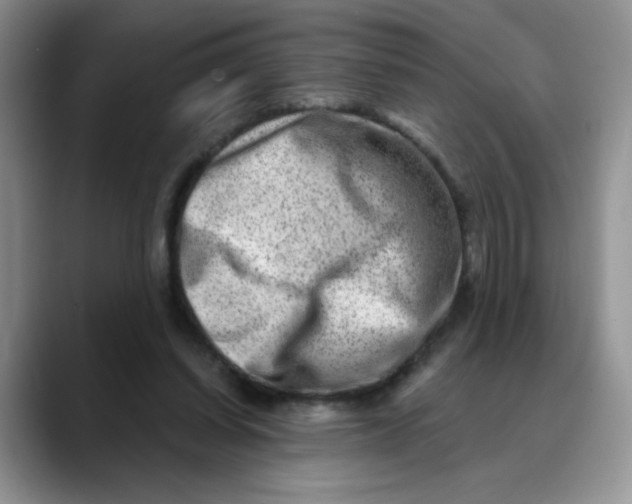 X0000088440254200706121514