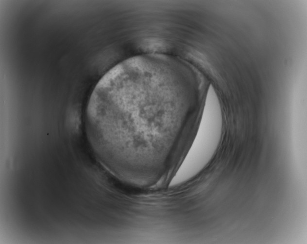 X0000088440259200706121514